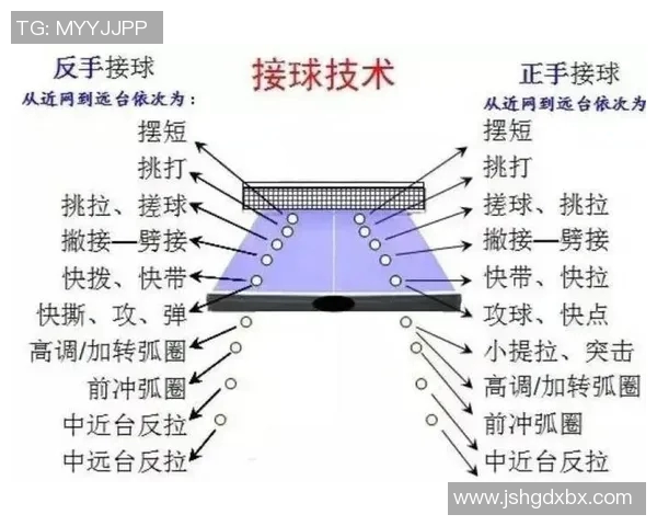 乒乓球新手必看：从基础技术到实战技巧的全面入门指南