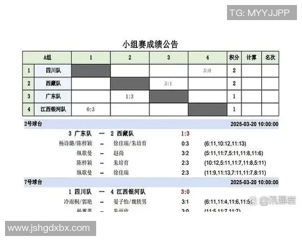 全运会精彩回顾：杭州乒乓球队战术运用与表现分析