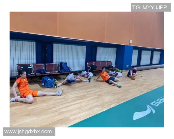 南京西安羽毛球队赛后复盘战术分析与精彩瞬间回顾 南京西安羽毛球队赛后复盘战术分析与精彩瞬间回顾