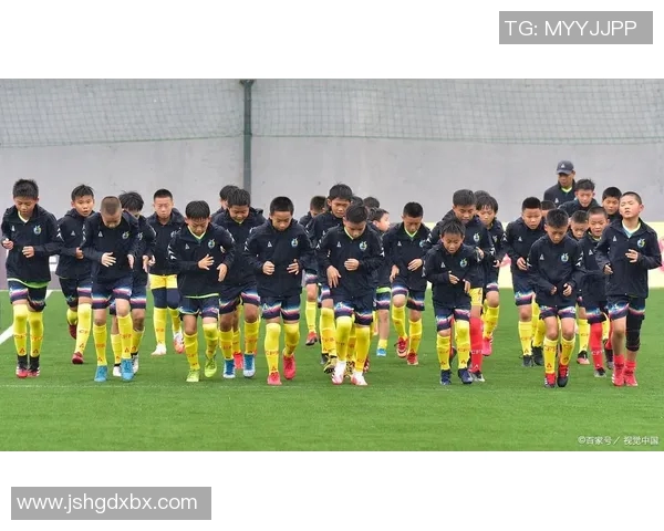 国际足球明星对中国国家足球队表现的深度分析与评价