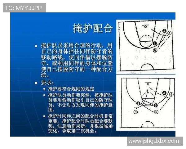 深圳排球队在总决赛中的耐力表现与战术分析全面解读 深圳排球队在总决赛中的耐力表现与战术分析全面解读