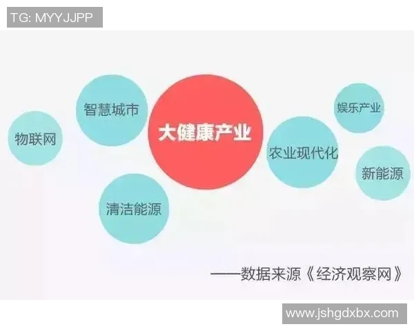 深度解读上海网球队实力对比及未来发展潜力分析